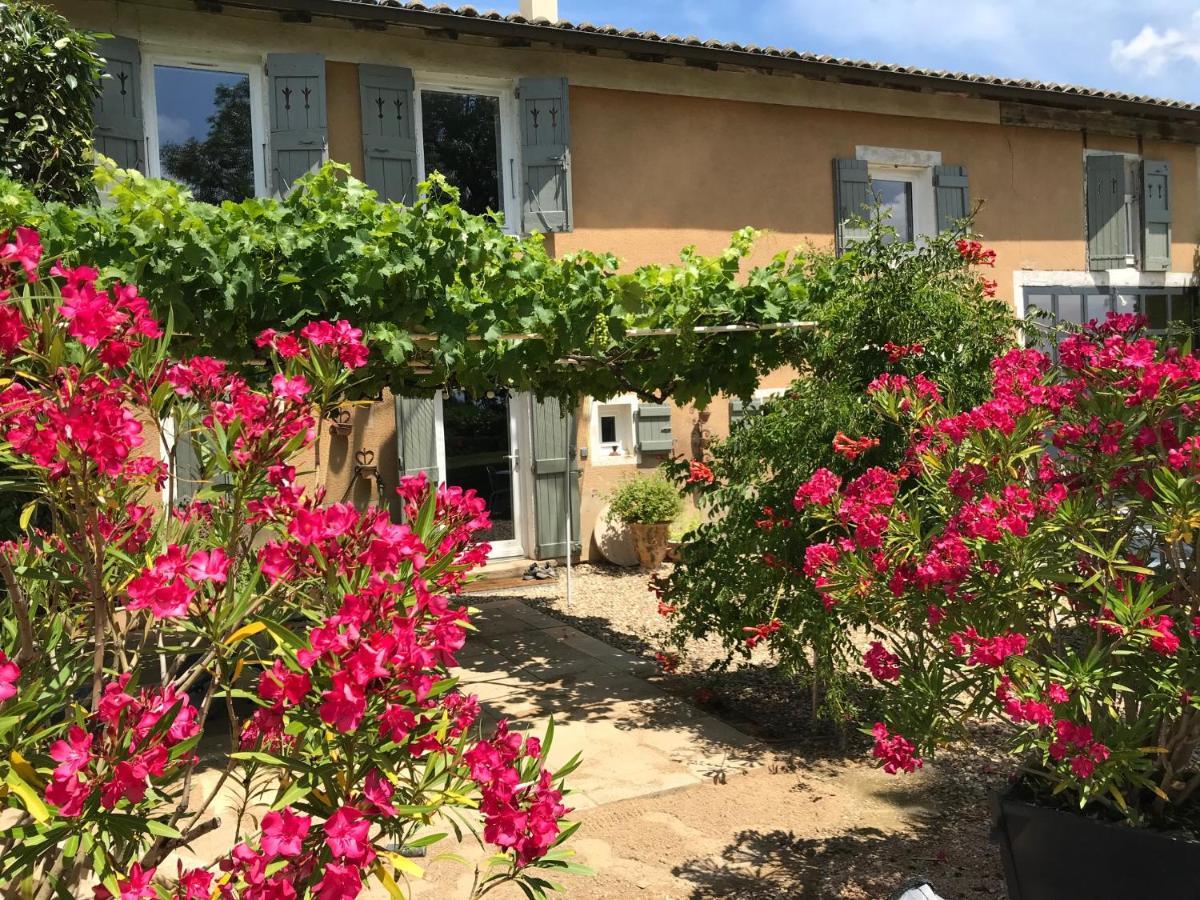 La Gatille Villié-Morgon Exterior foto